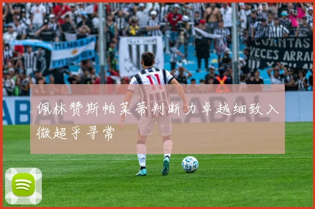 佩林赞斯帕莱蒂判断力卓越细致入微超乎寻常
