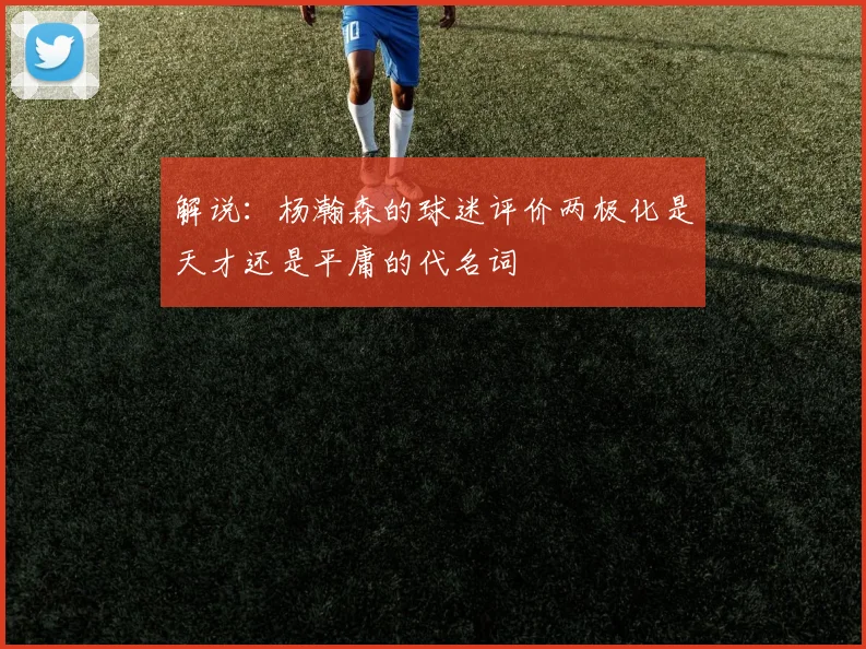 解说：杨瀚森的球迷评价两极化是天才还是平庸的代名词