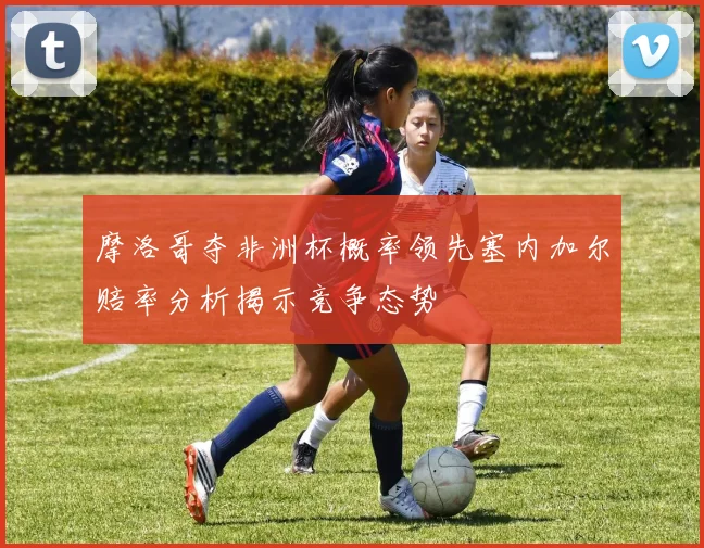 摩洛哥夺非洲杯概率领先塞内加尔赔率分析揭示竞争态势