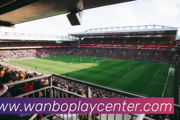 万博体育平台生态图