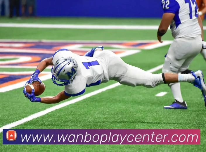 万博体育APP 封面图